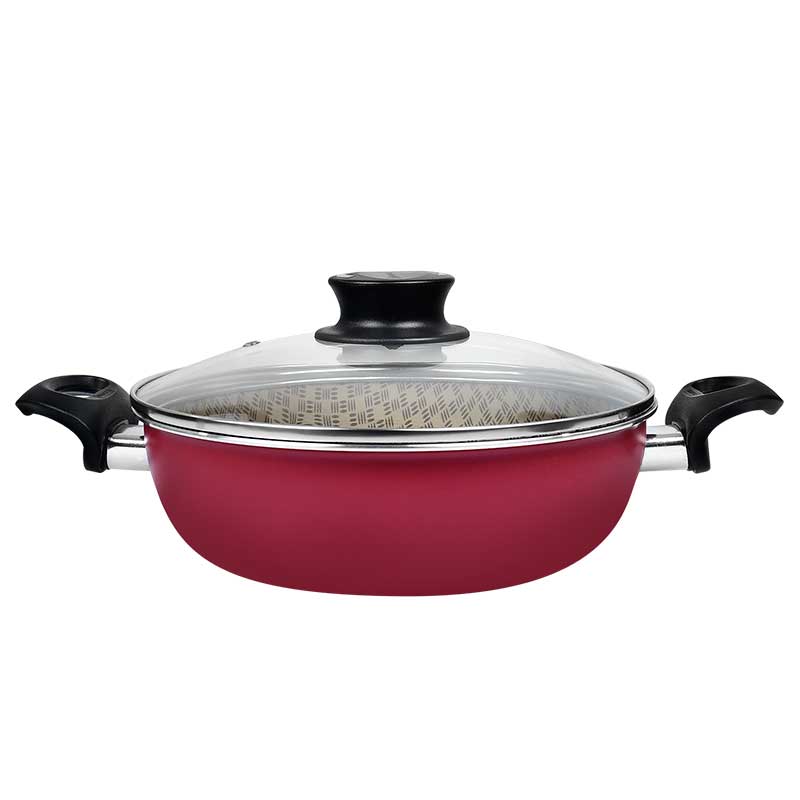 OLLA CON TAPA ANTIADHERENTE 2,8 L. Ø 24 CM PARIS