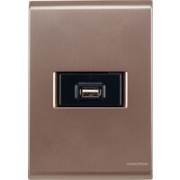 CONJUNTO ARMADO TOMA USB 1.5A BIVOLT ORO VIEJO LIZ