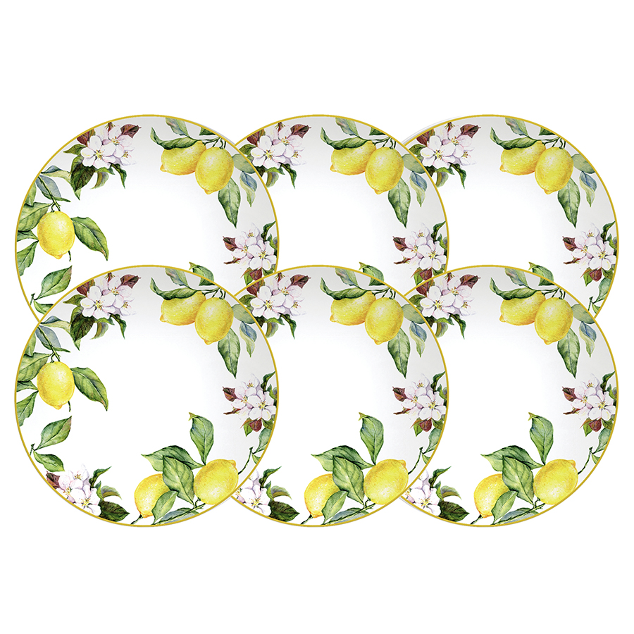 JUEGO DE PLATOS RASOS EN PORCELANA 6 PIEZAS Ø28 CM. CARMEN