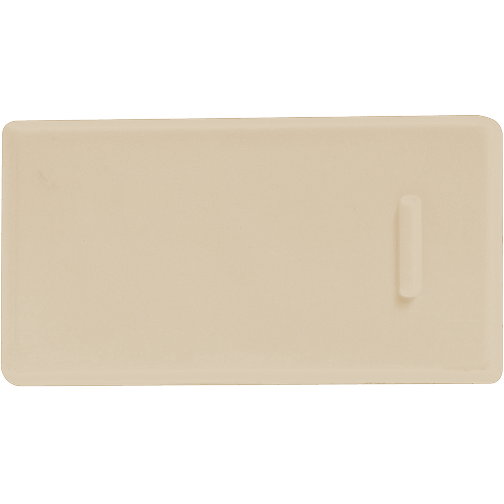 MODULO INTERRUPTOR UNIPOLAR 10A/250V BEIGE