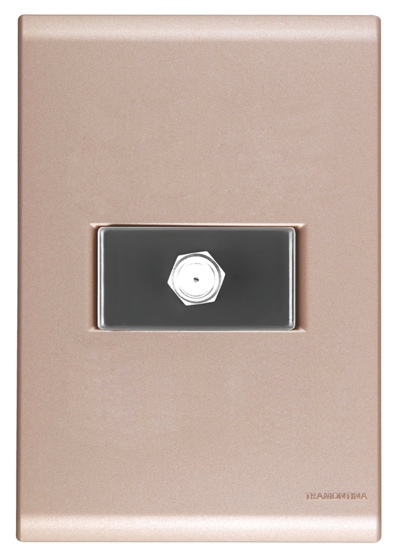 CONJUNTO ARMADO TOMA TV/SAT COAXIAL ORO VIEJO LIZ