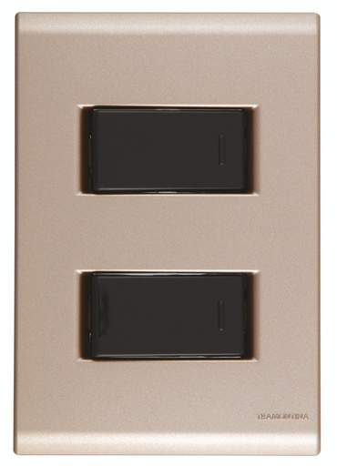 [57172040] CONJUNTO ARMADO 2 INTERRUPTORES SIMPLE 10A 250V ORO VIEJO LIZ