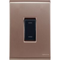 [57172002] CONJUNTO ARMADO INTERRUPTOR CONMUTADOR 10A 250V ORO VIEJO LIZ