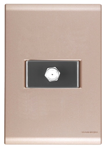 [57172017] CONJUNTO ARMADO TOMA TV/SAT COAXIAL ORO VIEJO LIZ