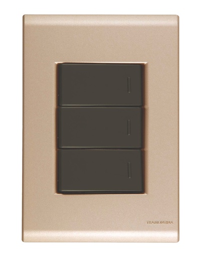 [57172070] CONJUNTO ARMADO 3 INTERRUPTORES SIMPLE 10A 250V ORO VIEJO LIZ